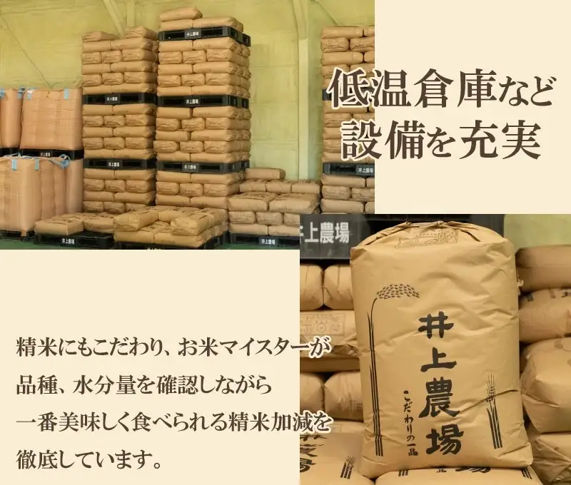 【令和7年産】 井上農場の特別栽培米 つや姫 無洗米 6kg（2㎏×3袋）　K-756　山形県鶴岡市
