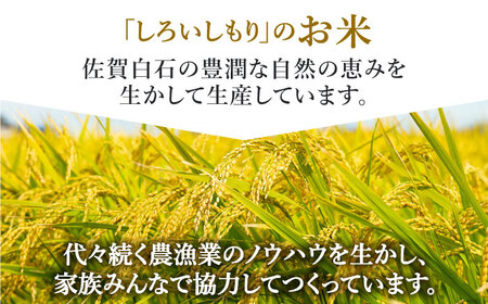 令和年産ひのひかり5kg （白米）/ 白米 [ICD011]