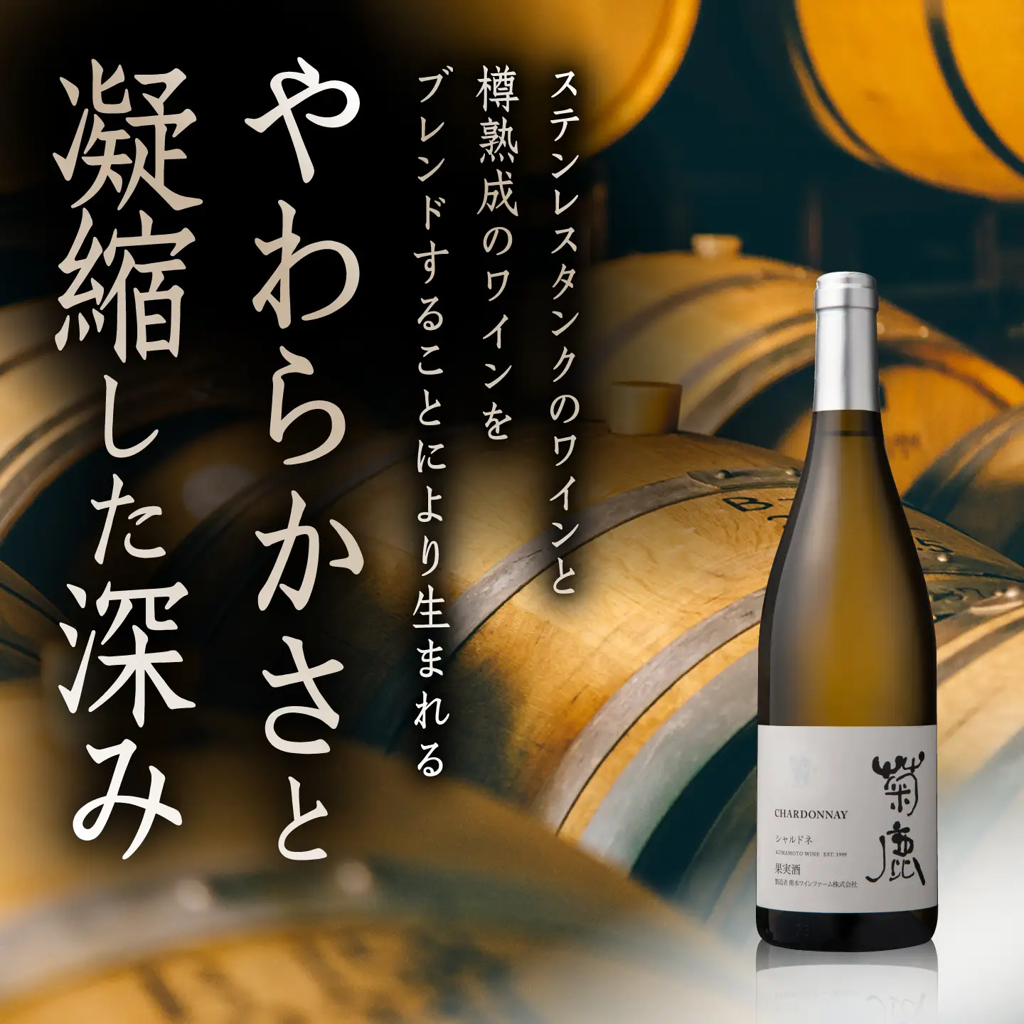 菊鹿シャルドネ白ワイン辛口750mlギフト箱入り白ワインZCO001 | 熊本県
