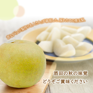 SA3035　酒田産【特選】秀玉梨　約3kg(6～9玉入)