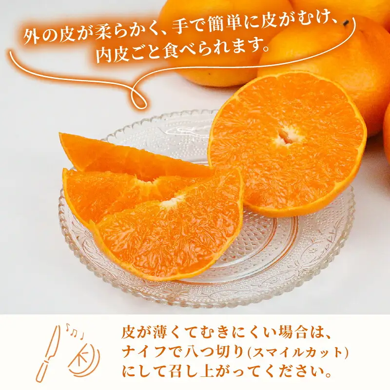 せとか 2 ~ 3kg 贈答用 矢野青果 せとか B012-171022