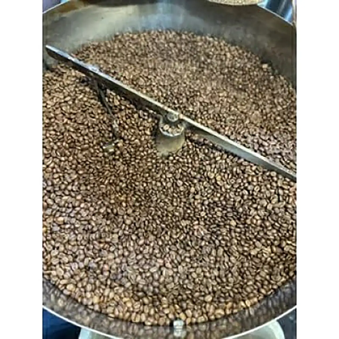 つくばで焙煎 トライブのブレンド3種 計750gセット(250g×3)[豆]