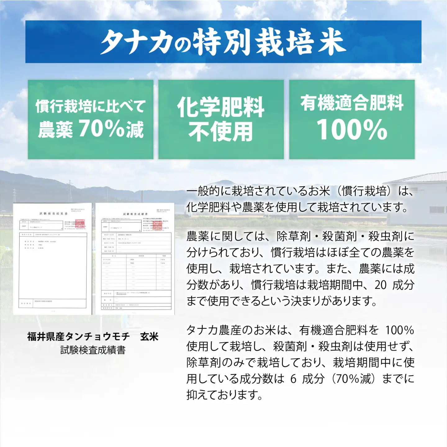【先行予約】【無洗米】【定期便3ヶ月連続】令和8年産 新米 ふくい東郷米 特別栽培米 農薬70％減 コシヒカリ 6kg(3kg×2袋)×3ヶ月 合計18kg[E-020021_04]