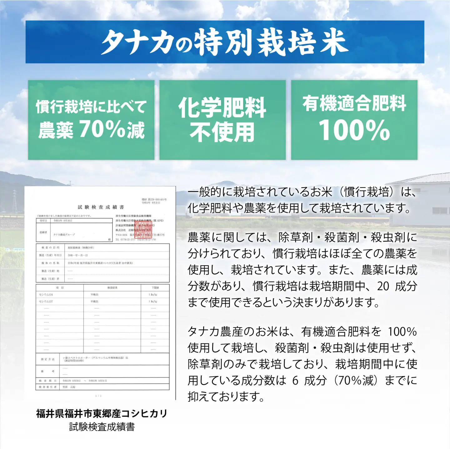 【先行予約】【白米】【定期便6ヶ月連続】令和8年産 新米 ふくい東郷米 特別栽培米 農薬70％減 コシヒカリ 6kg(3kg×2袋)×6ヶ月 合計36kg[J-020023_01]