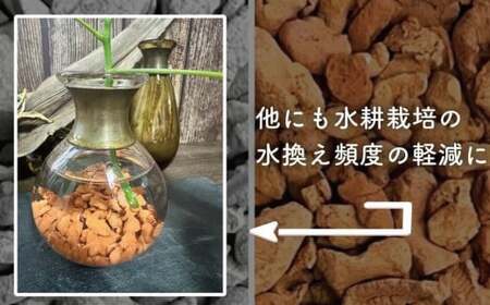 三河焼植木鉢ハーモニーブラウン【テラチップ赤焼】プランター お手軽植物栽培セット 園芸 粘土 鉢 植物 土 シルバー 赤 茶 H188-004