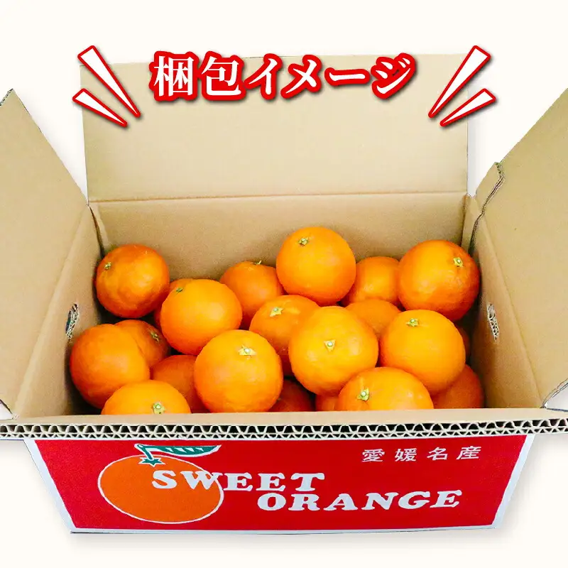 ブラッドオレンジ タロッコ 5kg 矢野青果 オレンジ B012-171020