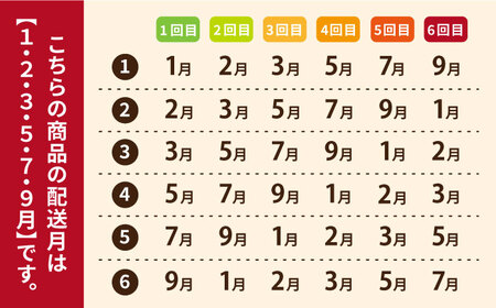 【6回定期便】【ギフトBOX】平飼たまご ファイブエッグ M-Lサイズ 20個入 / 5EGG 卵 赤玉子 五島市 / 五島列島大石養鶏場[PFQ027]  玉子 タマゴ 鶏卵 希少 五島列島