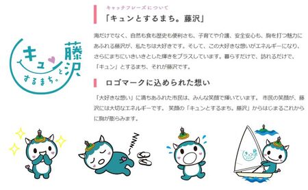 藤沢市 ゆるきゃら ふじキュン 【 トートバッグ ブラック ML 】 