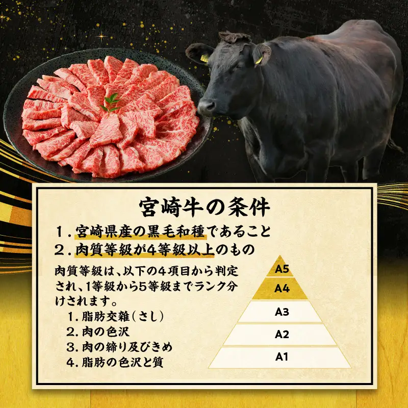 牛肉 赤身 牛肉[宮崎牛 モモ 焼肉 700g]