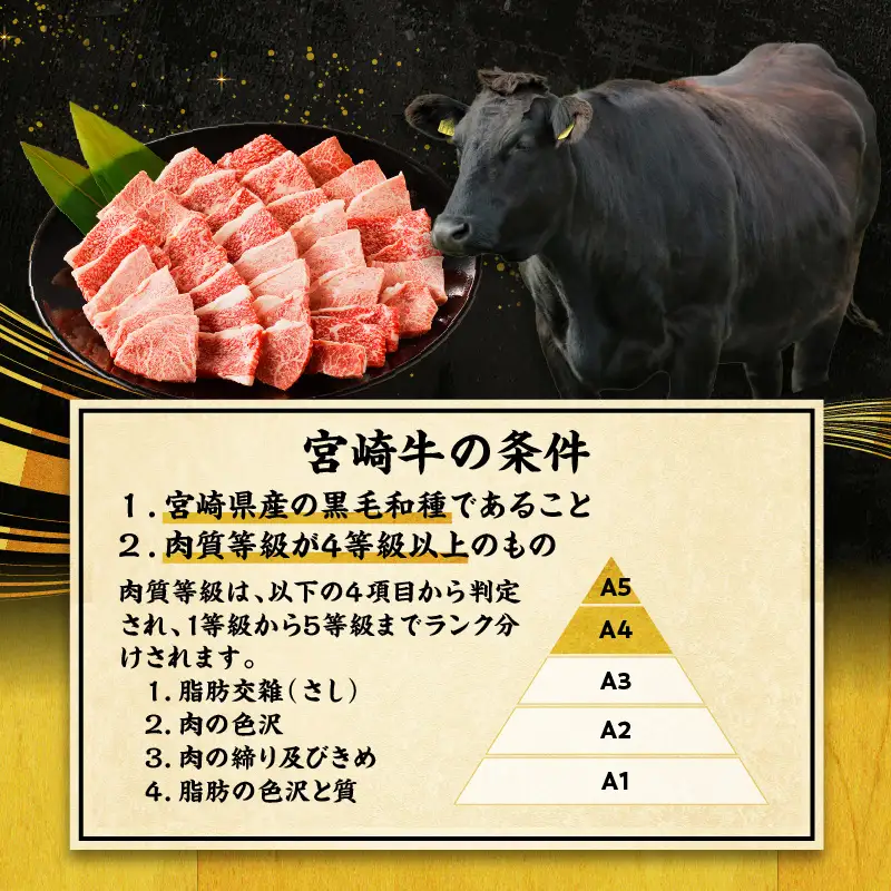 牛肉 赤身 牛肉[宮崎牛 ウデ 焼肉 700g]