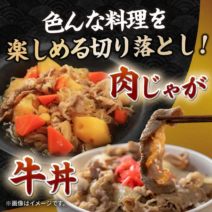 長崎和牛 切り落とし 600g（300g×2パック） [JEP008]切り落とし