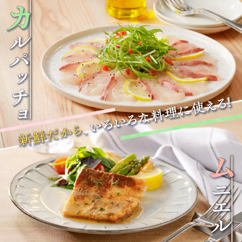 鹿児島産 スライスするだけ！カンパチ刺身用 1/4本 3～4人前 K100-006 魚