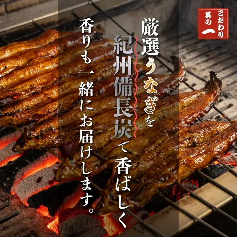 厳選国産うなぎ炭火蒲焼3尾 たれ・山椒付【順次発送】【BM03-tgun003】