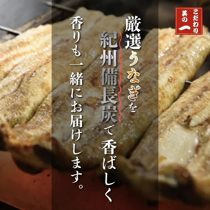 厳選国産うなぎ炭火白焼3尾 たれ・山椒付【順次発送】【BM07-tgun007】