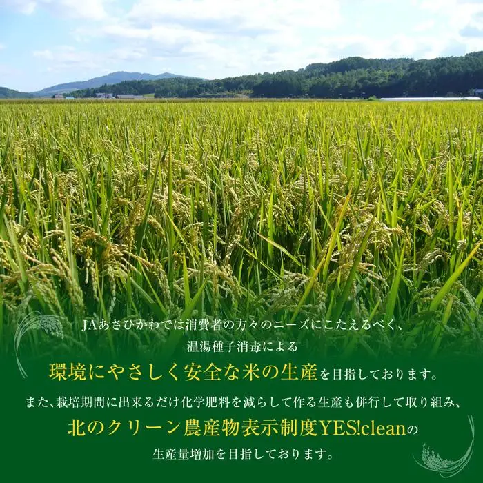 《令和7年産》ななつぼし5kg×2袋（10kg）YES!clean米 | ななつぼし 北海道 限定 _01307