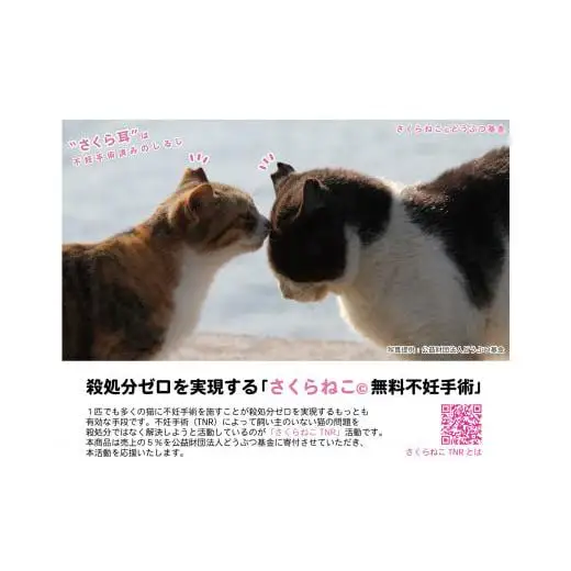 マグネット桜猫　5個入り10セット[野良猫保護支援 保護猫 ねこ のらねこ さくらねこ どうぶつ基金 マグネット 磁石]