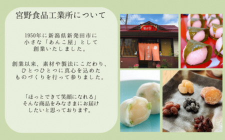 羊羹 ようかん詰め合わせ 和菓子 羊羹 羊羹 羊羹 羊羹 羊羹 J90_01