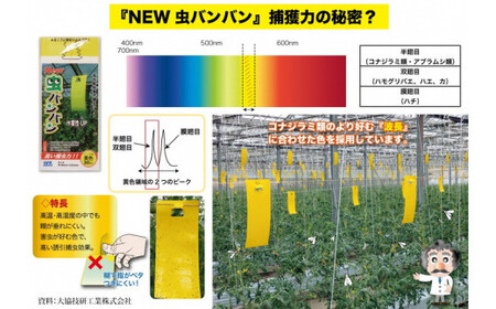 家庭菜園やビニールハウス栽培の必需品！害虫捕虫用粘着シート『NEW虫バンバン』20枚×5袋（100枚分）｜害虫対策 駆除 シート 強力 速効性 虫よけ 侵入※着日指定不可