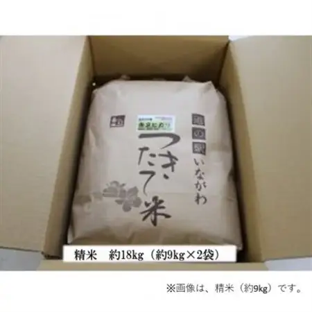 猪名川町のお米・キヌヒカリ(精米)約18kg【1497806】