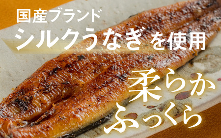 【やなのうなぎ 観光荘】スペースうなぎ（宇宙日本食認証取得）50g前後×1袋　鰻 ウナギ ブランド 丑の日 蒲焼き かば焼き 宇宙食 非常食 アウトドア 国産 岡谷市