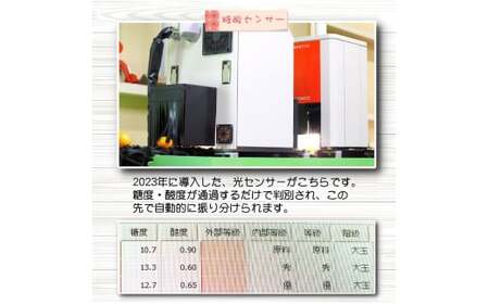 ちっちゃな 有田みかん こつぶみかん 家庭用 10kg （3S～2Sサイズ混合） 光センサー選別 ※2026年11月中旬～2027年1月中旬に順次発送予定 ※北海道・沖縄・離島への配送不可 / 温州みかん みかん 甘い 柑橘 果物 和歌山 【nuk004-s-10B】