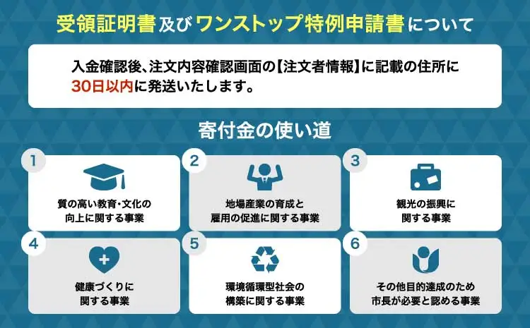 先行予約 令和9年産 荒造り新茶 3袋セット【2027年6月中旬〜6月下旬頃順次発送予定】 茶葉 お茶 新茶 緑茶