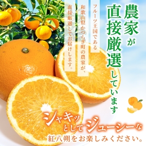 【先行予約】【数量わずか】あふれる果汁！ 希少な紅はっさく 秀品 5kg L～２L 2027年2月初旬〜2027年3月中旬頃に順次発送予定（お届け日指定不可）/ ハッサク 八朔 紅八朔 紅はっさく フルーツ 柑橘 蜜柑 果物 くだもの【kgr006A】