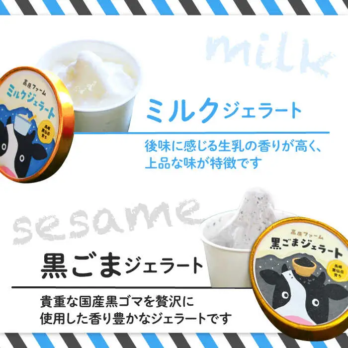 ジェラート ミルク3個 黒ゴマ3個 計6個入り / ジェラート じぇらーと アイスクリーム あいすくりーむ スイーツ デザート / 南島原市 / 高原ファーム [SFP002] 