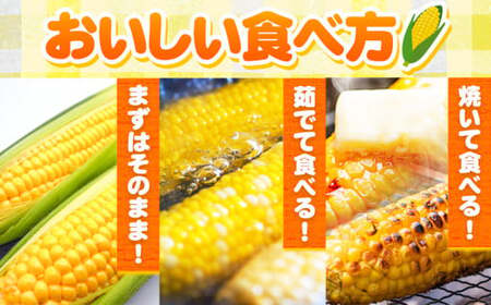 朝採れ とうもろこし おおもの 約5kg (13本入 2L) 七戸宏大 岩手県九戸村