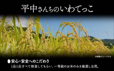 米 いわてっこ 10kg《30日以内に出荷予定(土日祝除く)》 岩手県 九戸村 一等米 精米 白米 お米