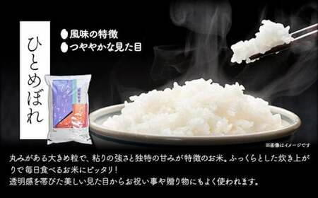 いわてっこ 5kg ひとめぼれ 5kg 贅沢食べ比べセット《30日以内に出荷予定(土日祝除く)》 岩手県 九戸村 一等米 白米 米 精米 10kg