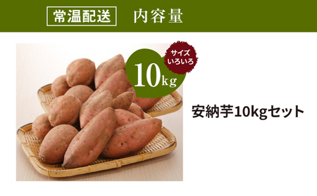 【先行予約】農家直送 木城町産 熟成安納いも10㎏ K30_0002_1