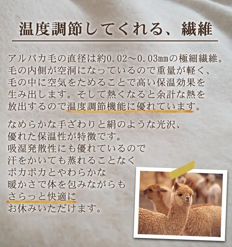 アルパカ毛布 シングルサイズ | 毛布 [2156]