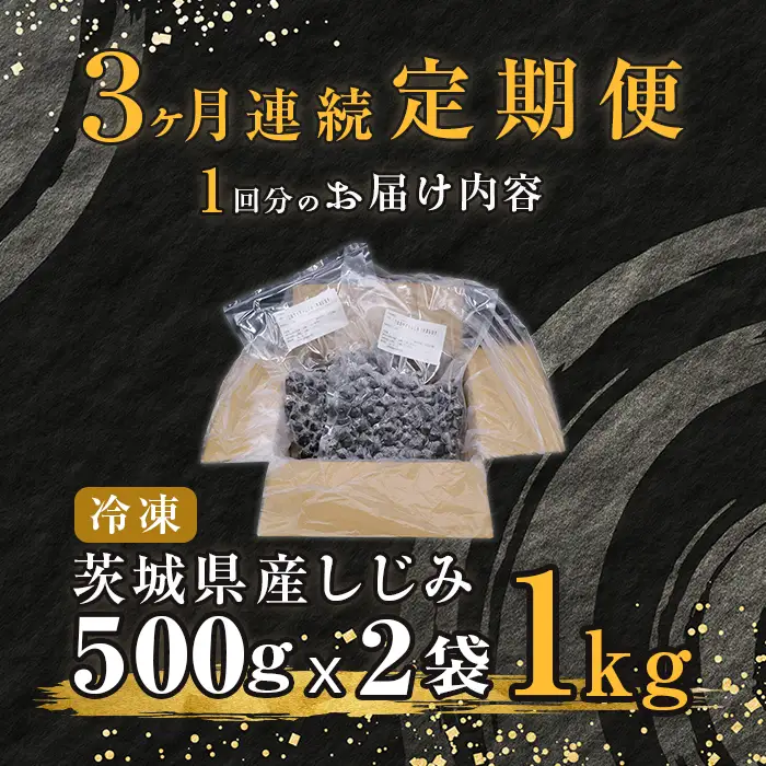 453 しじみ 定期便 1kg 冷凍 砂抜き 500g × 2袋 × 3回 ひぬま やまと シジミ 涸沼 大和 【3ヶ月連続お届け】