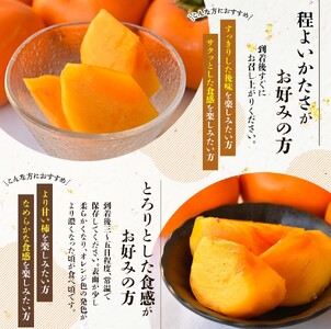  【先行予約】種無し柿 刀根早生柿 秀品大玉 約1.8kg（6個） 2026年9月末頃～10月末頃に順次発送予定（お届け日指定不可）/ 柿 かき 種無し 秀品 大玉 フルーツ 果物 くだもの【kiy002A】