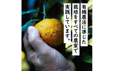 【調味料定期便】馬路村人気ゆずポン酢2本組×３回 調味料