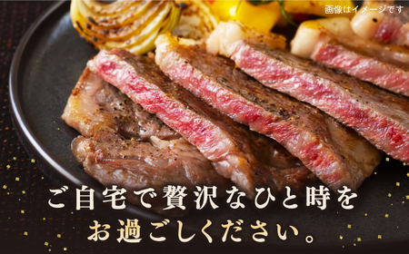 【全2回定期便】長崎和牛 サーロインステーキ 1kg（250g×4枚）《壱岐市》【長崎フードサービス】 肉 牛肉 赤身 国産 冷凍配送[JEP027] 九州