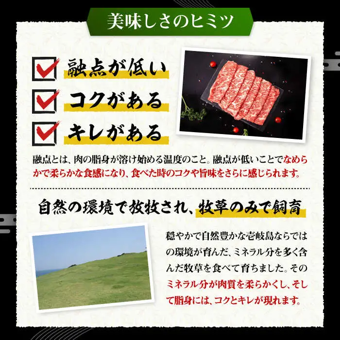 【全2回定期便】 壱岐牛 ローススライス（すき焼き・しゃぶしゃぶ・焼肉） 500g《壱岐市》【株式会社イチヤマ】 肉 牛肉 ロース スライス [JFE110]
