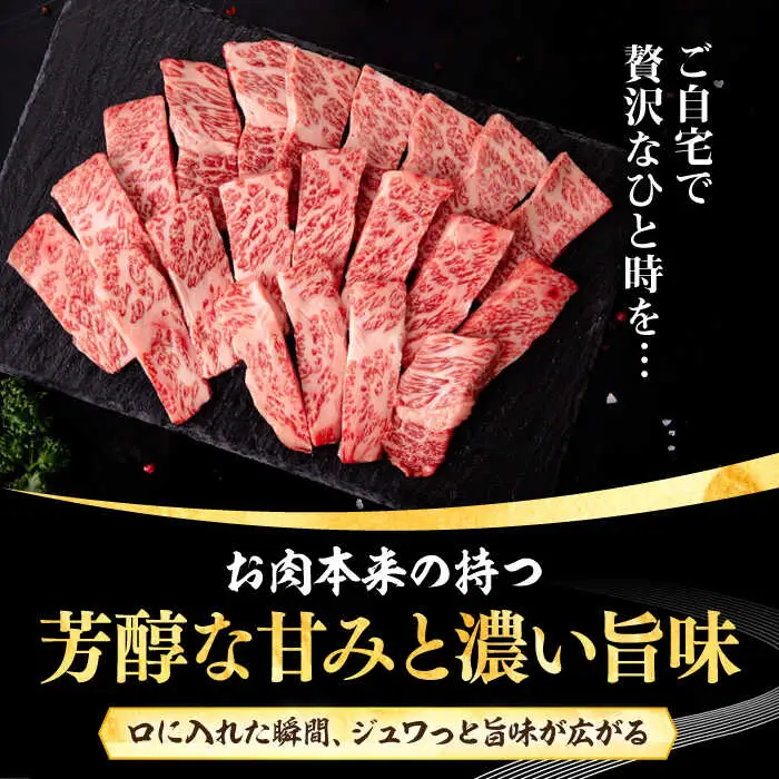 【全2回定期便】 壱岐牛 焼肉用 バラ（カルビ）500g《壱岐市》【株式会社イチヤマ】 肉 牛肉 焼肉 バラ カルビ BBQ [JFE113]