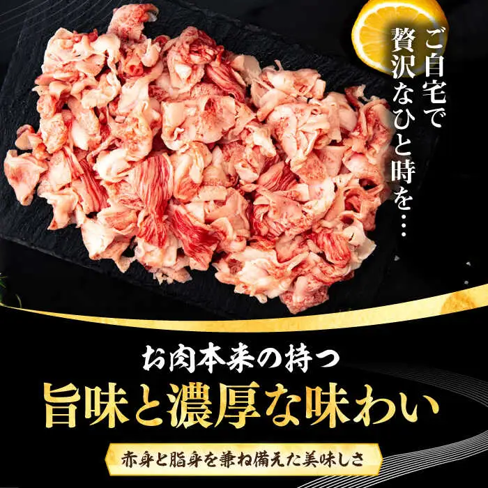 【全2回定期便】 壱岐牛 こま切れ （バラ） 1kg《壱岐市》【株式会社イチヤマ】 肉 牛肉 細切れ 小間切れ BBQ 焼肉 [JFE121]
