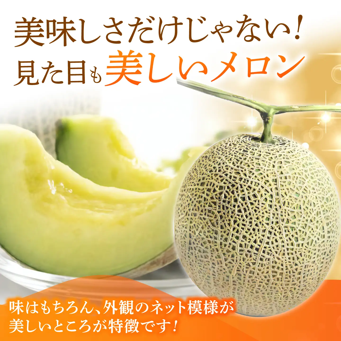 【先行予約】アールスメロン 約4kg（2L?）2玉入【道の駅 水辺プラザかもと】[ZEG001]