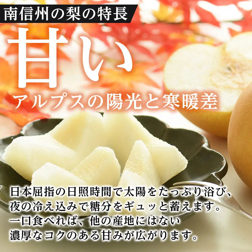 【長野県産】果汁たっぷりで甘～い梨（南水）約5kg秀品＜2026年9月中旬から発送＞