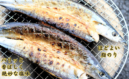 訳ないでぇ さんま開き１６枚 分けないで 下剋上 さんま 開き さんま サンマ 秋刀魚 さんま開き 訳なし サンマ開き 大きい 希少サイズ 正規品 国産さんま開き 国内加工 季節の味覚 銚子 海の幸 海鮮 干物 開き 冷凍 新鮮 贈り物 お取り寄せ 千葉県 銚子市