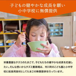 【しゃべくり007で紹介】【定期便】タズミの卵(30個×6ヶ月)044AB01N.／こだわり卵 市川町産 兵庫県産 たまご たまごかけご飯 玉子 生卵 鶏卵 卵　卵焼き TKG 6か月 定期便