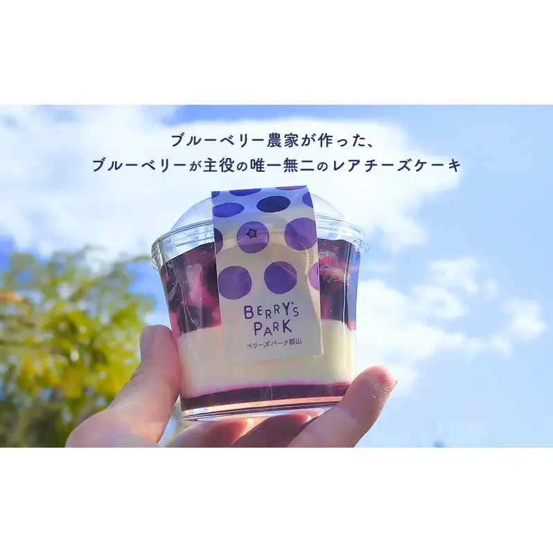 ブルーベリー農家のドルチェ(レアチーズケーキ)4個セット 