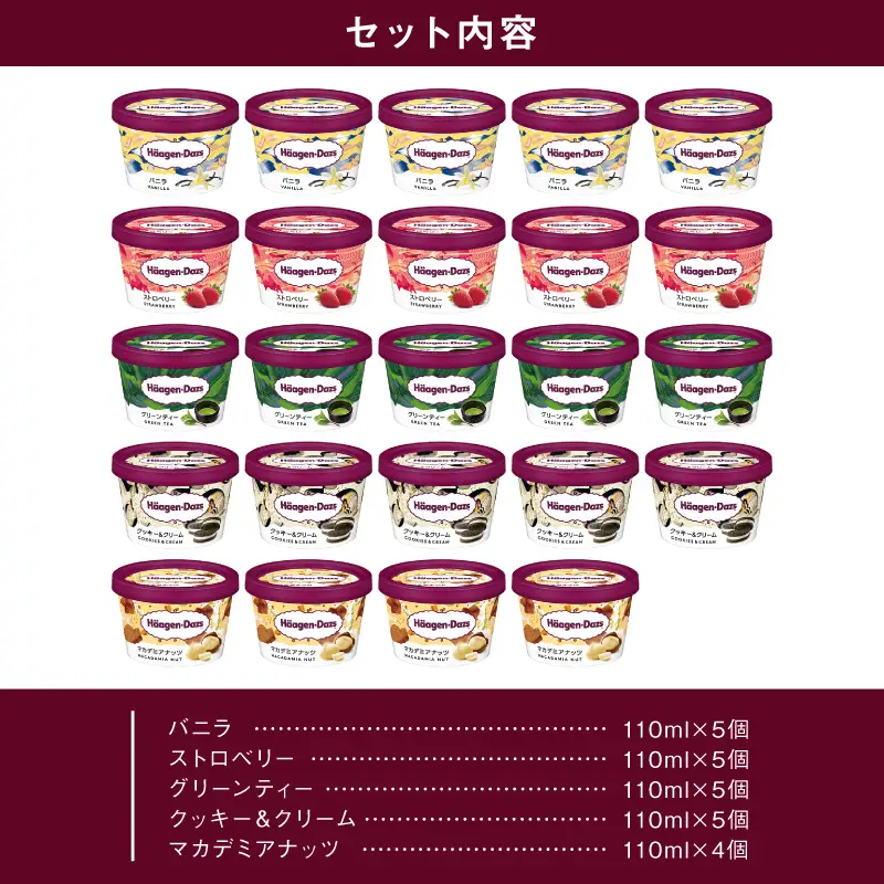 ハーゲンダッツ 『定番ミニカップ5種(計24個)』 アイス アイスクリーム_H0016-133