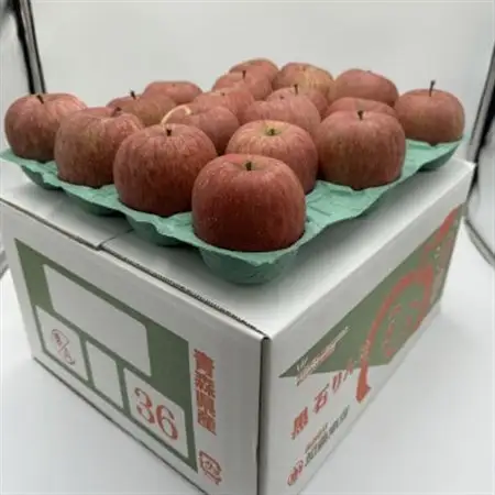 訳ありりんご【サンふじ】10kg(24～46個入)　【令和8年11月中旬～随時発送開始】_果物・フルーツ りんご  リンゴ 林檎_【配送不可地域：離島・沖縄県】【1486198】