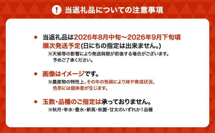 先行予約 梨 濃あま梨 約3kg 6〜10玉前後 2026年8月中旬から9月下旬発送予定