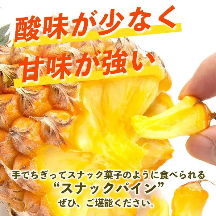 【先行予約】《2027年5月上旬頃より順次発送》石垣島産 スナックパイン (6玉 約6kg) 【 産地直送 沖縄 石垣 パイナップル パイン スナック フルーツ トロピカル 南国 】 TP-9-1