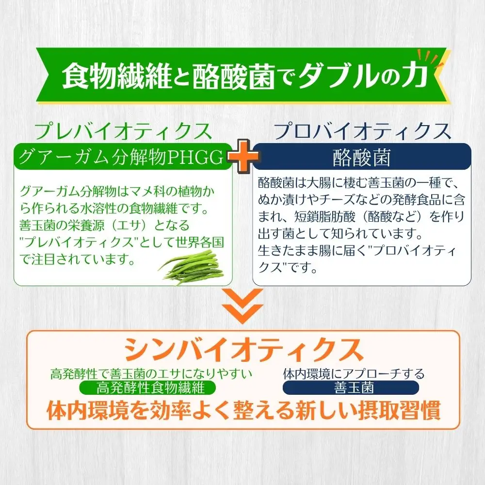 ＜定期便12ヶ月＞TVで話題！ グアーガム分解物 サンファイバープラス（粉末スティック）6g×30包【2箱セット】 │水溶性食物繊維 酪酸菌 医療 介護 シンバイオティクス プレバイオティクス プロバイオティクス 発酵性食物繊維 健康食品 サプリ 個包装 太陽化学 三重県 四日市市 ふるさと納税